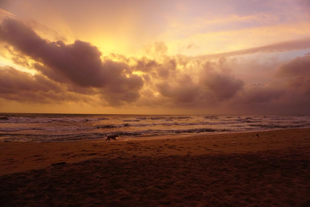 Puetz Travels Beach Resort Wayikkal Eksteriør bilde